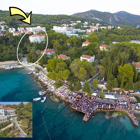 Moeesy, Blue & Oasis - Adults Only